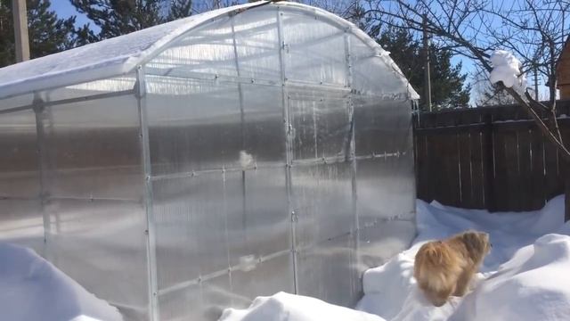 КАКУЮ ТЕПЛИЦУ ВЫБРАТЬ? Плюсы и минусы. ОБЗОР. смотреть онлайн