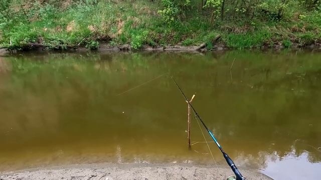 Они меня нашли. Поплавочная рыбалка (Сузун) 29 мая 2023г. Внеплановый выезд. смотреть онлайн