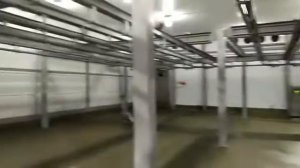 Как выглядит Бойня. Забой Быков и Коров на Бойне. Экспорт Мясо Говядина Халяль из России Оптом.