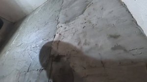 штукатурка шлакобетонных, шлаконаливных стен