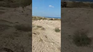Volvo 6x6 in action!
