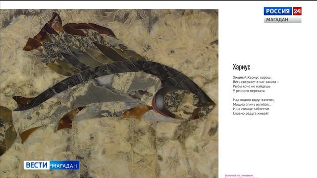 Колымские агаты вдохновили известных российских писателей - в «Охотнике» выходит новая книга смотреть онлайн