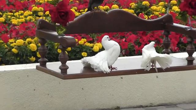 Lens: Анапа Россия/ Anapa Russia смотреть онлайн