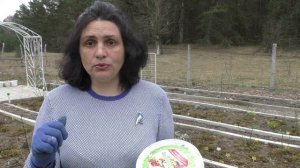Повышаем плодородие почвы  Обрабатываем розы от болезней  Весна 2021