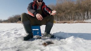 Ловля ПЛОТВЫ в феврале ! Отличный клев!