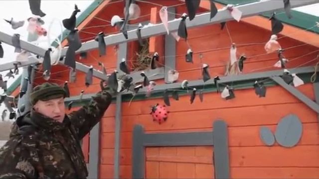 Курятник для круглогодичного содержания птицы с выгулом. Этапы строительства, чертеж.