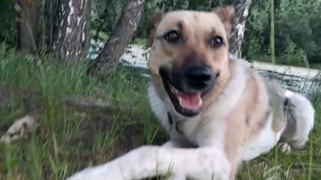 Я и Альма смотреть онлайн