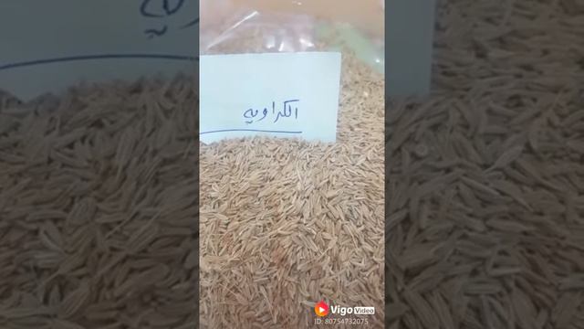 فوائد الكراوية