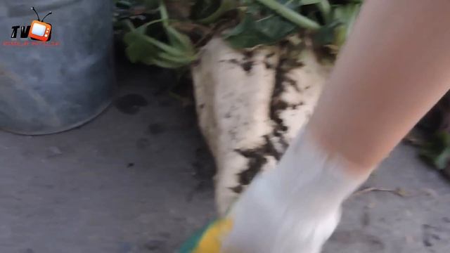 Урожай 2015 смотреть онлайн