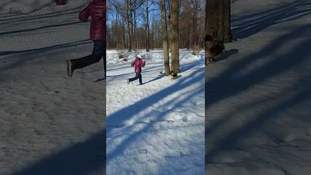 #shorts #tiktok ?Русский размер?Весна?#красотка #папинадочка.mp4