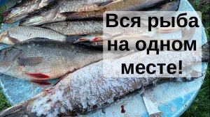 5 Щук и Окунь на КГ в одном месте! Нарвались на жор, травим рыболовные байки, удачная рыбалка и клев