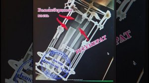 Удлинение ног. Чудеса регенерации