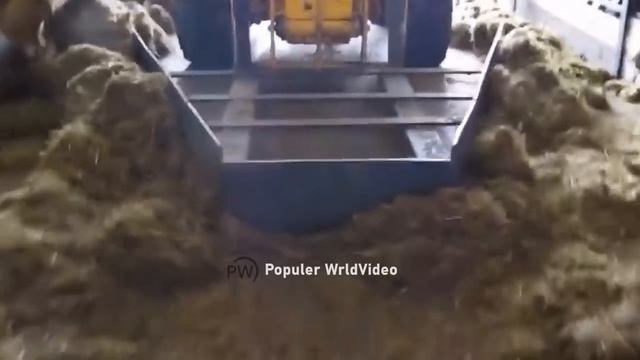 This wool machine shocked millions of sheep. Relaxing farm machinery. смотреть онлайн