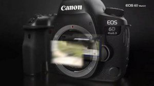 Canon 90d Vs  Canon 6D Mark 2 Which is best Comparison