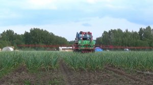 Гербицидная обработка чеснока 2019