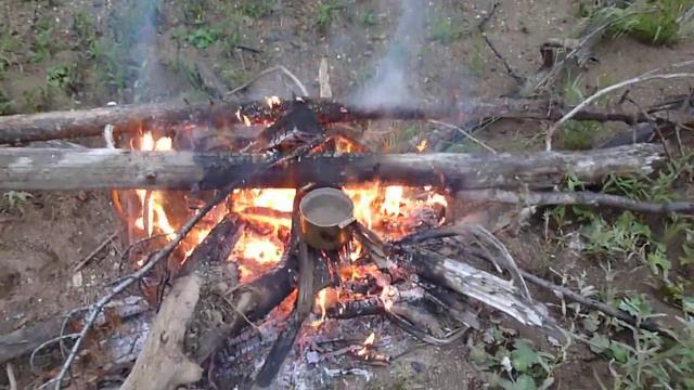 Сибирь Тис смотреть онлайн