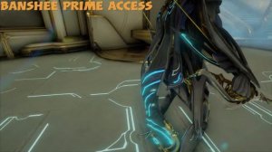 Warframe- Rating All Prime Accessories 2021