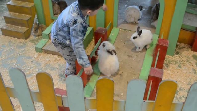 КОНТАКТНЫЙ ЗООПАРК смотреть онлайн