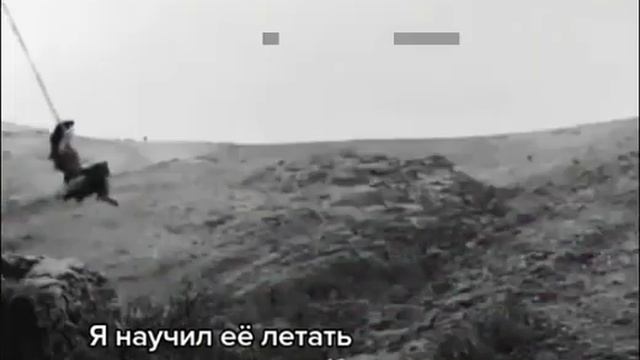 миран и райан 🫀🍃 смотреть онлайн