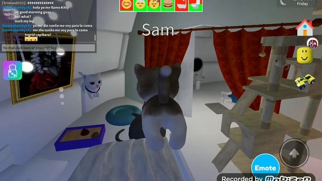 playing pet party Roblox смотреть онлайн