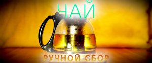 Натуральный чай своими руками. 2023. #tea #чай #чайручнойсбор