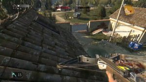 Dying Light The Following DLC Прохождение "Босс Адская жаба" большой плевальщик