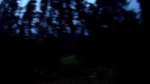 Поездка на Сурское водохранилище с палатками на три недели. Отдых. Рыбалка.07.20