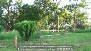 мордовская темрязань июнь 2020