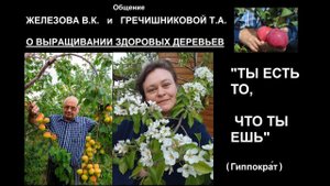Общение Железова и Гречишниковой о выращивании здоровых деревьев, дающих здоровые плоды