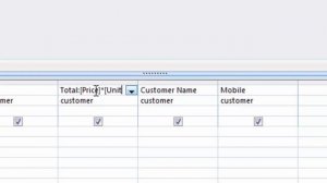 How to use Primary key  in ms access in hindi