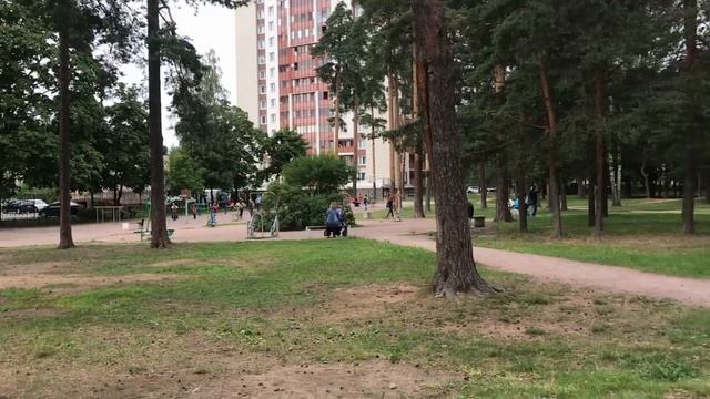 VLOG: Всеволожск, программа переселения в Ленинградскую область