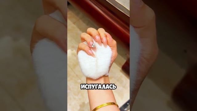 Что случилось с этим хомяком