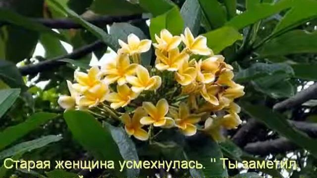 Притча о добре, любви, взаимоуважении!!!
