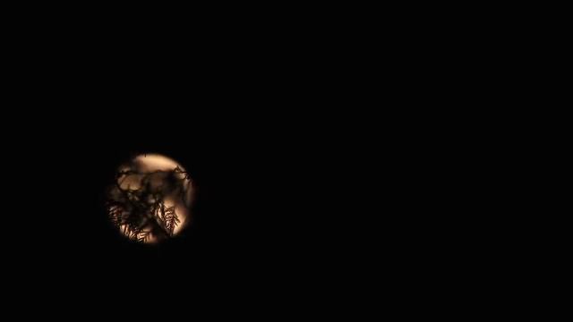 ГЛУБОКИЙ СОН ★︎ Мгновенно засыпай ★︎ Музыка для созерцания