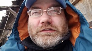 Плюсы содержания свиней на земляном полу