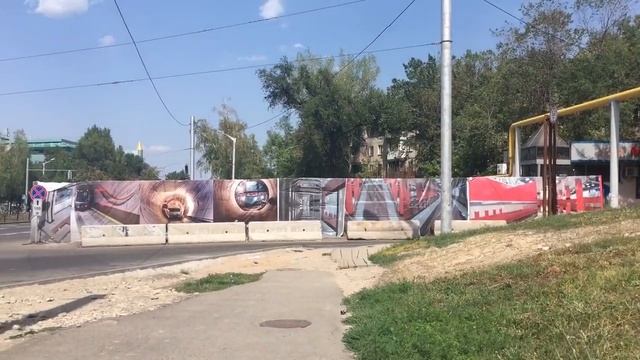 Были деревья, стали кусты! Вырубка деревьев в Алматы