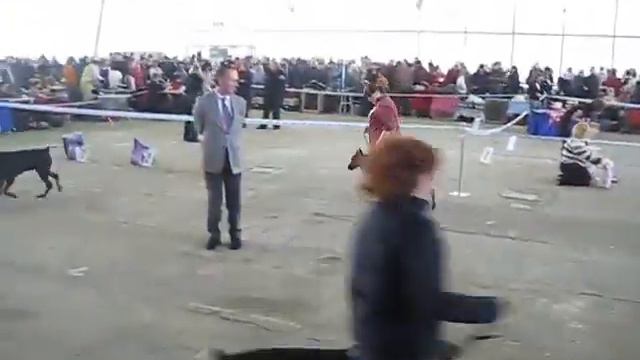 ВДНХ 28.02.10 009.avi смотреть онлайн