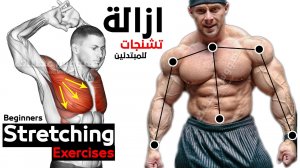 Упражнения на растяжку для начинающих | Мобильность и гибкость
