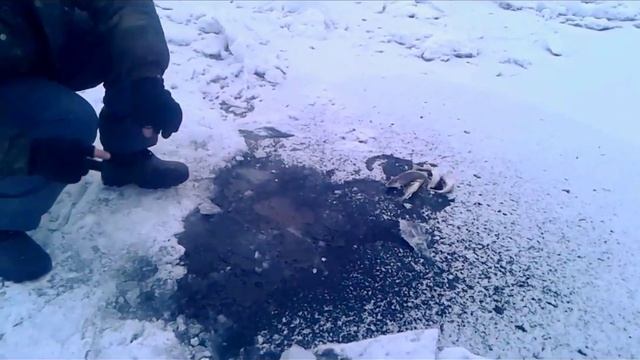 Река Дон!Рыбалка! СУПЕР ОТКРЫТИЕ СЕЗОНА 2018!Ёрш-носарь! смотреть онлайн