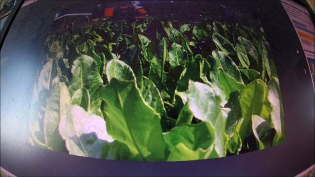 московская феносреда смотреть онлайн