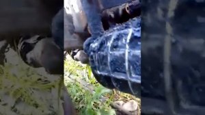 Пятискоростной ВОМ минитрактора своими руками. Видео с нашего Яндекс Дзен. Ссылка на канал ниже.