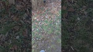 Паломка и ремонт датчика заднего хода на Ворекс Эстина (Чери Фора )