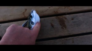 Рыбалка в Турции. Отдых в Турции в начале ноября