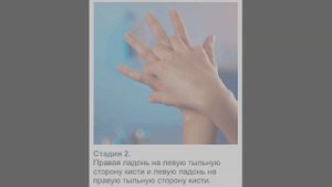 Гигиеническая обработка рук.