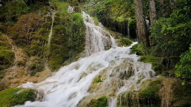 Как уйти от мужа Тирана ? #историиизжизни #психологияотношений #семья