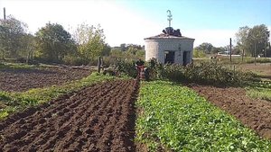 Осенняя вспашка в развал. Мотоблок Агат