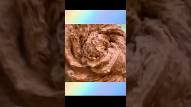 Слаймы + Истории | СТАРЫЕ ДЕТИ | Новые Страшные Истории от Про Истории