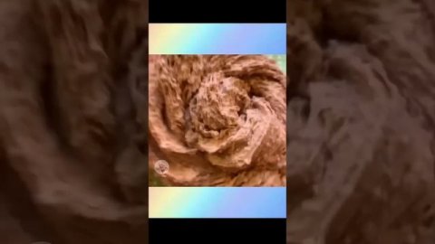 Слаймы + Истории | СТАРЫЕ ДЕТИ | Новые Страшные Истории от Про Истории