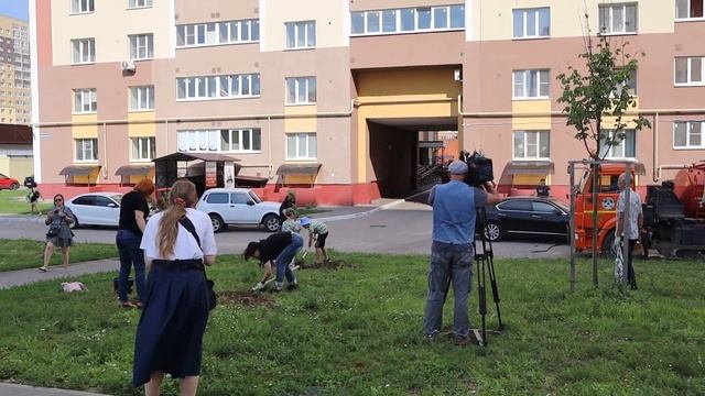 ПОСАДКА ДУБОВ В СЕМЧИНО РЯЗАНЬ НА СЕМЧИНСКОЙ АЛЛЕЕ  #сергейтелков
