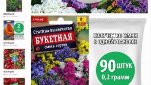 Семена, Статица долгоцветущая, Букетная смесь окрасок (2 пакетика по 0,2г/90шт в каждом)